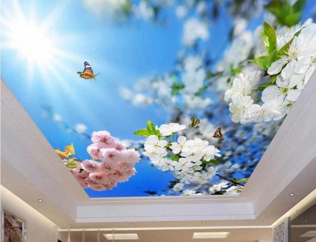 3D натяжные потолки - для каких интерьеров подходят, виды и фото